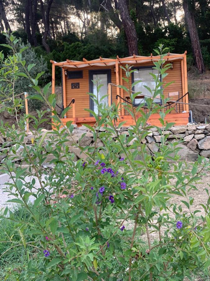 Tiny Mini House Hotel Dalaman Exterior foto