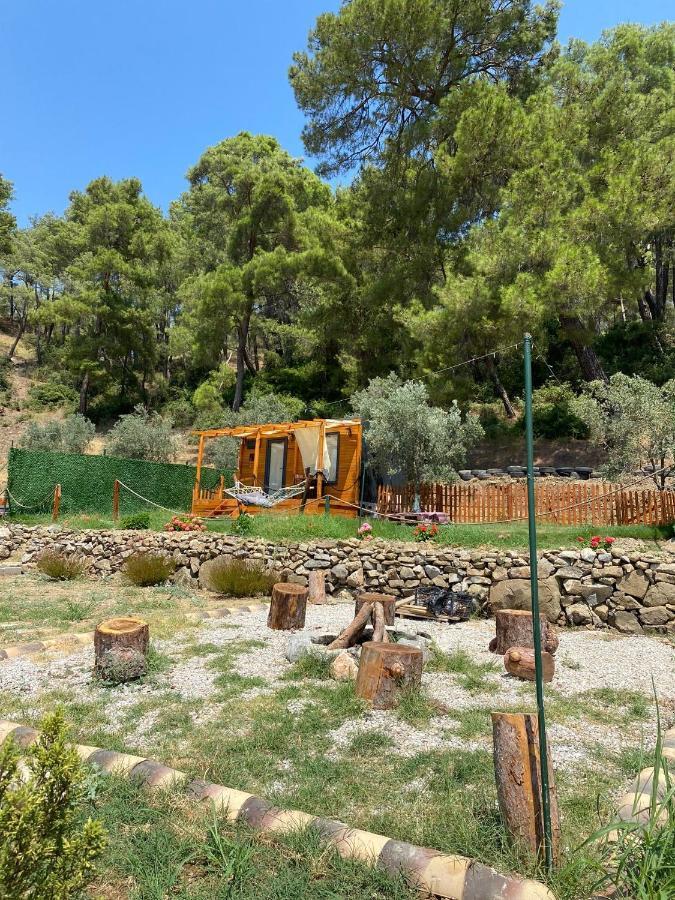 Tiny Mini House Hotel Dalaman Exterior foto